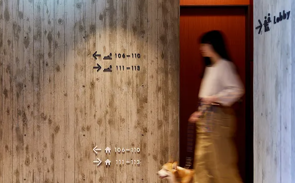 規劃設計作品案例展示