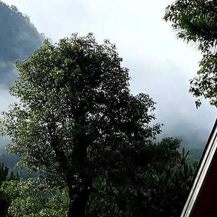 主題商場作品案例展示