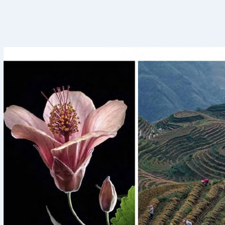 交通標識標牌制作廠家